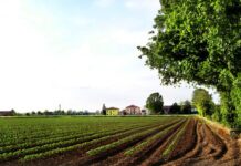 Degustazione bio alla Magnana