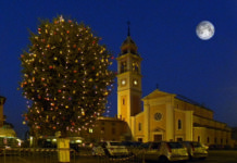 Tutti insieme sotto l’albero illuminato di Carpaneto