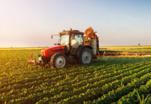 AGRICOLTURA – “Sviluppo rurale 2023-27”, dalla Regione bando da 30 milioni per giovani imprenditori