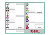 Come si vota domenica