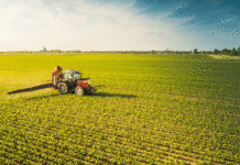 Accolte richieste Coldiretti nei provvedimenti della Regione a sostegno dell’agricoltura