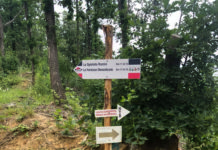 Trail Valley Bettola, tra sentieri e storia