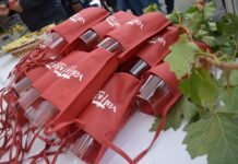 Valtidone Wine Fest; la Smart Edition 2020 a Borgonovo e Alta Val Tidone