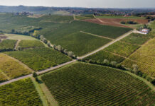 Valtidone Wine Fest-Smart Edition: Edoardo Raspelli il 19 e 20 settembre a Trevozzo