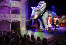 Al Teatro Gioco Vita: ANNIBALE, memorie di un elefante …online. Lezione interattiva a cura di Nicola Cavallari