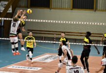 Volley serie B maschile girone C – Sandro Caci schiaccerà nuovamente per la Canottieri Ongina