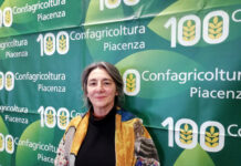 Fine vendemmie, Azzali: “Quest’anno i grappoli ci regaleranno un prodotto eccezionale. Dobbiamo valorizzarlo”
