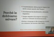 Giornata europea delle Lingue, un webinar per il liceo Gioia promosso dallo Sportello Europe Direct