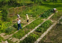 CONFAGRICOLTURA – “Il testamento dell’ortolano”, progetto di agricoltura sociale a Isola Serafini