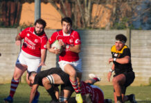Il Piacenza Rugby vince ancora, pioggia di mete al Beltrametti.