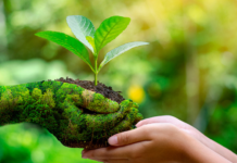 Crisi ecologica: RECA e Legambiente presentano quattro proposte di legge regionale