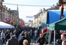 Riecco la Fiera agricola di San Giuseppe a Cortemaggiore