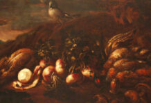 È iniziato il restauro delle nature morte di Boselli a Palazzo Farnese