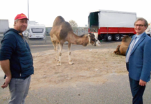 Da Confagricoltura Piacenza solidarietà e amicizia al Circo Rolando Orfei