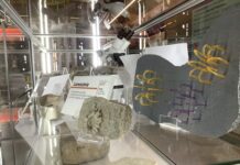 Continua la mostra “Piacenza chiama Marte” al Museo di Storia Naturale.