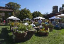 “I Frutti del Castello”: un regno floreale e botanico straordinario, sabato e domenica a Paderna di Pontenure