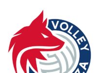 Volley, settore giovanile: allenamento a porte aperte della Gas Sales Bluenergy