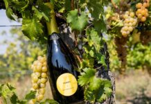 Award Rosso per lo Spumante Venus, della Cantina Valtidone, al Concorso The Wine Hunter Award di Merano