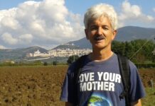 Cintura di parchi attrezzati e riforestazione massiccia per una Piacenza green: ecco come
