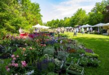 A Paderna, Frutti del Castello: eventi alle origini della natura, fiori, piante, prodotti dell’agricoltura