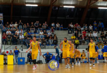 I Fiorenzuola Bees tornano al PalArquato per trovare la vittoria contro Campetto Ancona