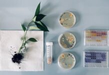Dagli scarti dei batteri della filiera alimentare di latticini e altri cibi arrivano i fertilizzanti ‘bio-green’