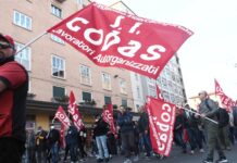 “Nicoletta martire di un mondo del lavoro feroce”, la nota del Si Cobas