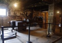 Giorno della Memoria, a Monticelli due mostre sulla Shoah: “Stelle senza cielo” e “Percorsi sulla Shoah”