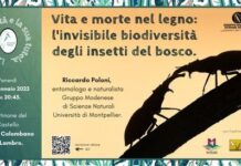 SAN COLOMBANO – “La biodiversità e la sua tutela”, cinque incontri, per conoscerla meglio ed imparare ad averene cura.