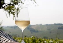 Sui colli piacentini un week end all’insegna del gusto: la rassegna enogastronomica “Malvasia e…”