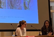 Verso il Pug: “Paesaggio cuore delle scelte urbanistiche, prospettiva legata ai cambiamenti climatici”