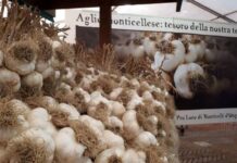 Fiera dell’Aglio a Monticelli: novità a tavola con le specialità “Vè a Muntzei”. Laboratori a tema e mercato dei creativi