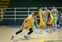 BASKET – I Bees combattono ma devono cedere nel finale per 80-73 alla DelFes Avellino
