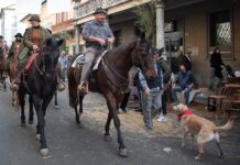 Sfilata di carri e asta contadina al San Martino di Monticelli