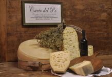 Il Cacio del Po è la rivelazione gastronomica della Bassa Piacentina