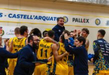 I Fiorenzuola Bees con un netto 94-65 prevalgono su Salerno, due punti pesanti per i gialloblu