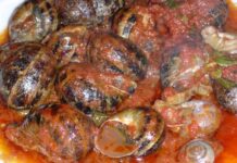 Le lumache alla bobbiese come si mangiano solo a Bobbio