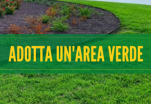 Sponsorizzazioni tecniche per aree verdi e rotatorie, avviso pubblico per nuove proposte di collaborazione