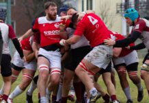 Il Piacenza Rugby fa 13, supera anche Cernusco e allunga ancora sul Lecco