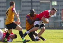 E’ record! Questo Piacenza Rugby eclissa tutti e scrive la storia! 18 vittorie di fila