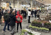 23.000 presenze a Piacenza Expo per le tre fiere di Primavera. In aumento i visitatori dai paesi europei