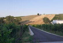 Da una indagine di Agri2000, a rischio chiusura il 75% delle aziende agricole in provincia di Piacenza senza successore