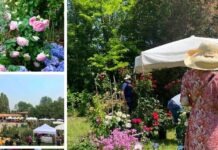 Tutte le sfumature dell’orto a “I Frutti del Castello – Speciale giardini”