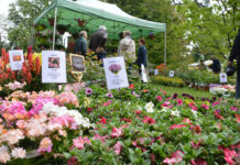 Floravilla è una festa di colori, profumi e artigianato: si continua domenica 28 aprile