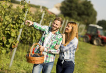 Agevolazioni fiscali e fondi per i giovani: tornare alla terra conviene
