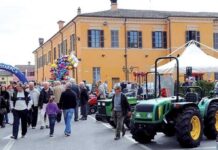 La Fiera Agricola di Carpaneto si rinnova: “Grano, Grana e Gutturnio”, convegno per valorizzare il territorio