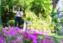 INTERNO VERDE 2024, oltre 3mila visitatori nei giardini di Piacenza