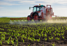 Lievissimo calo delle imprese attive, a fine giugno -0,2%: in flessione commercio e agricoltura