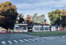 Accolto il ricorso ambientalista: il giudice impone di non tagliare gli alberi di Piazza Cittadella