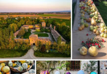 Biodiversità e natura: le mille sfumature dell’autunno con “I Frutti del Castello”